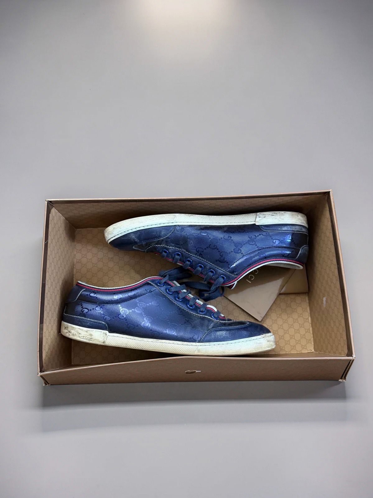 Gucci Gats