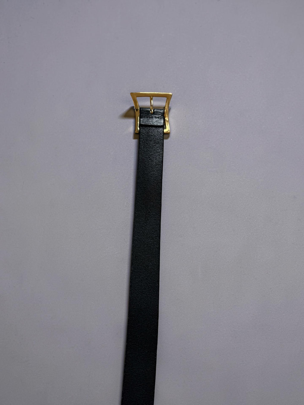 Saint Laurent SS16 “Palladium” by Hedi slimane Guitar Belt