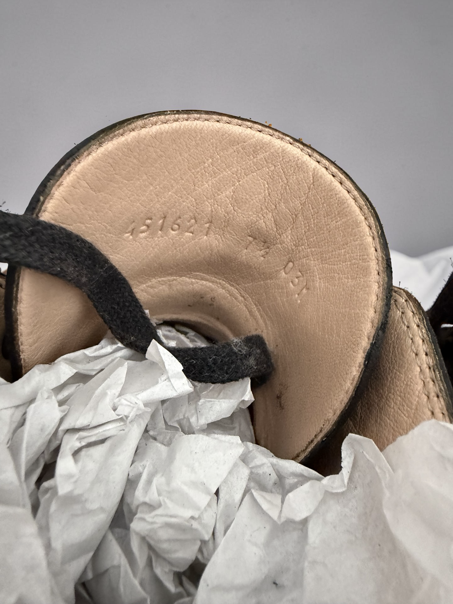 Gucci Lion Hightop
