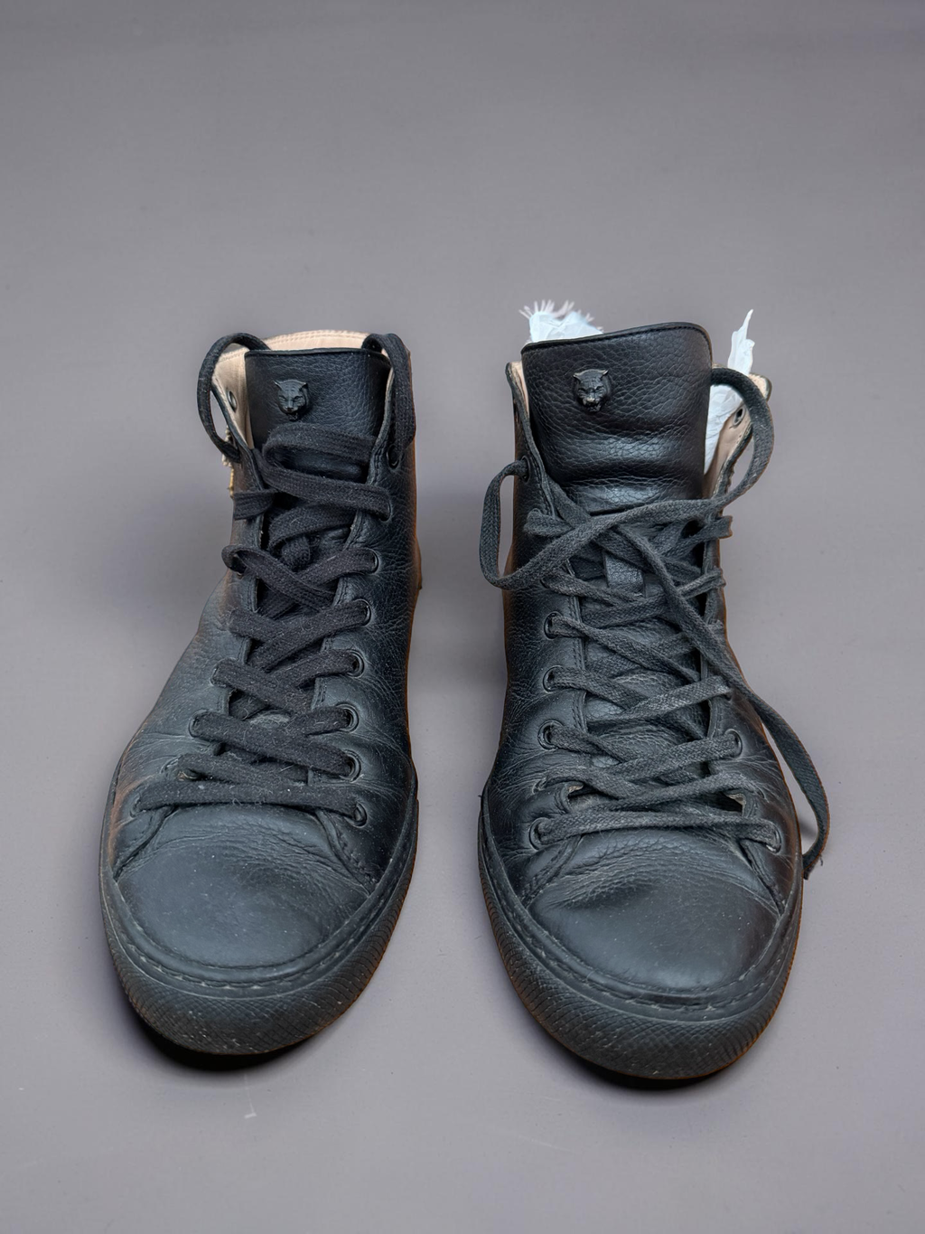 Gucci Lion Hightop