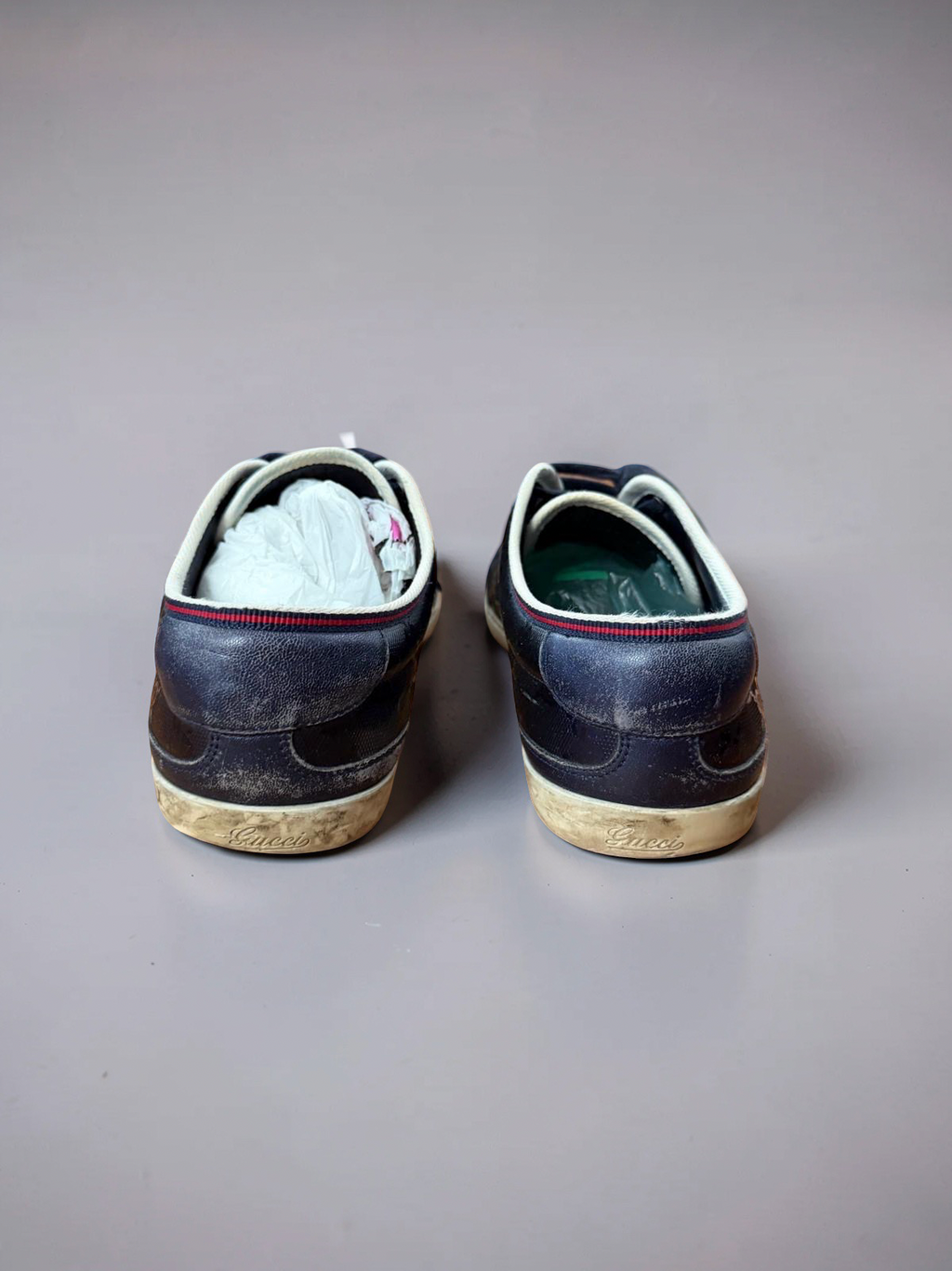 Gucci Gats