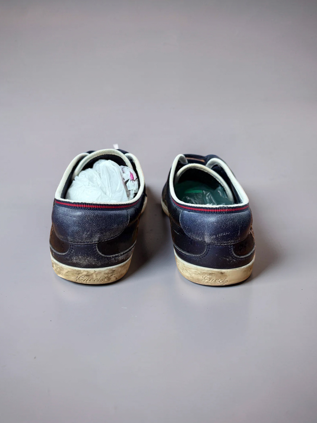 Gucci Gats